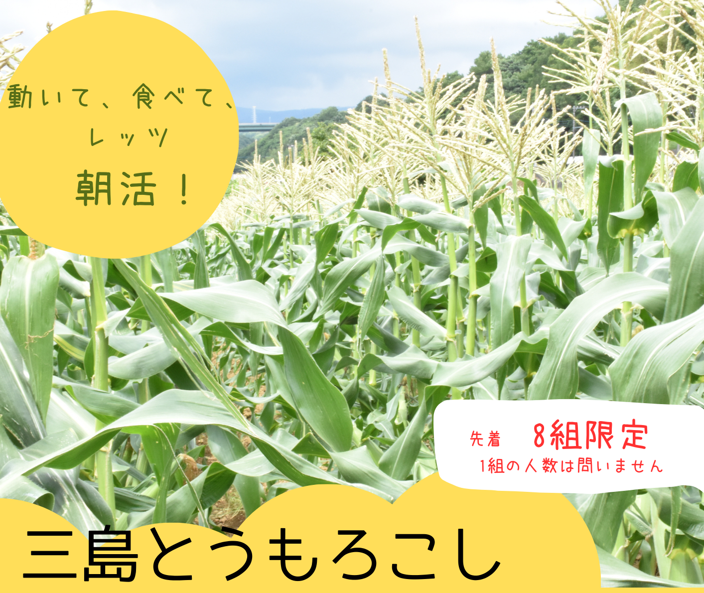 三島とうもろこし大収穫祭