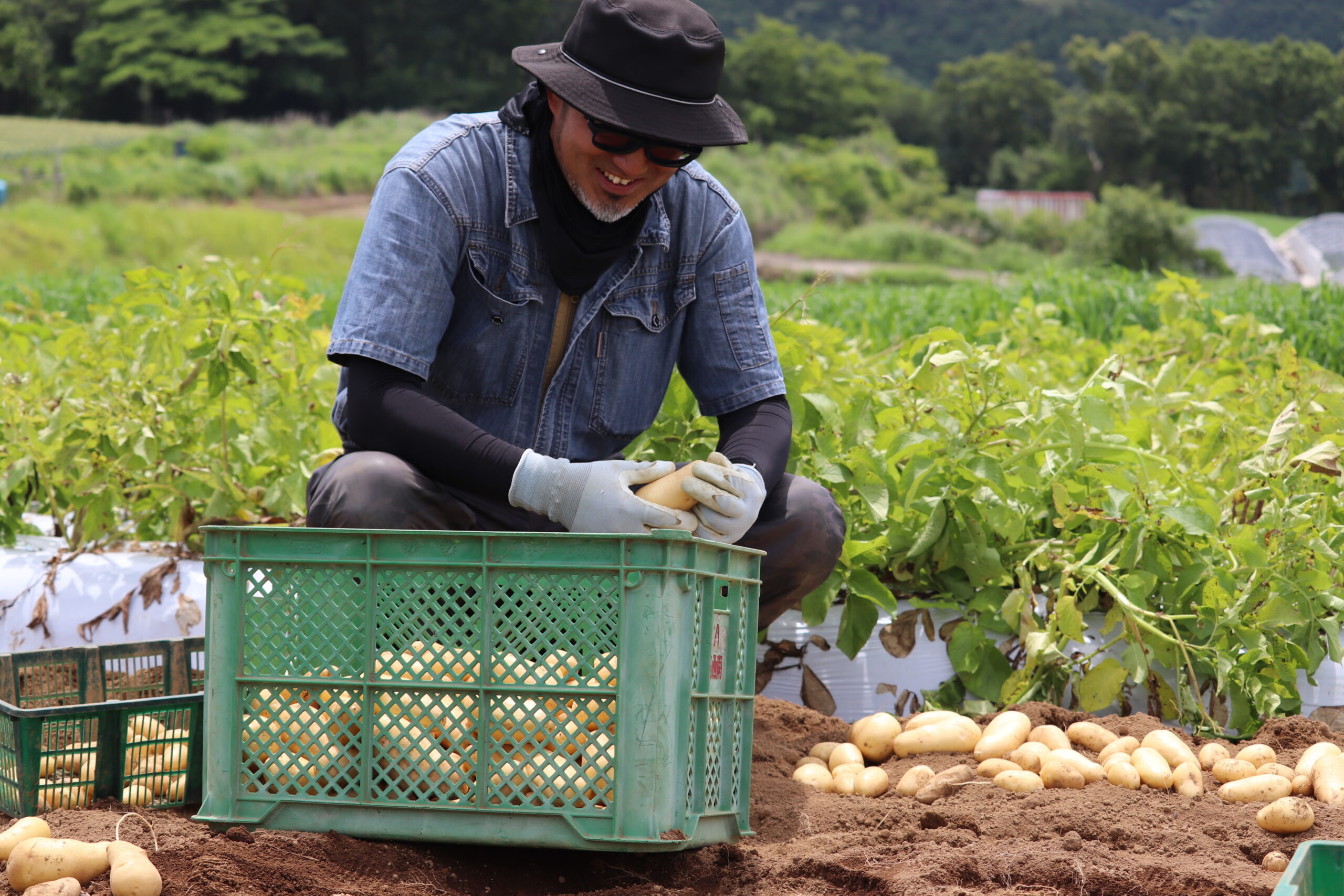 満天☆青空レストランで「三島馬鈴薯」が放送されました！